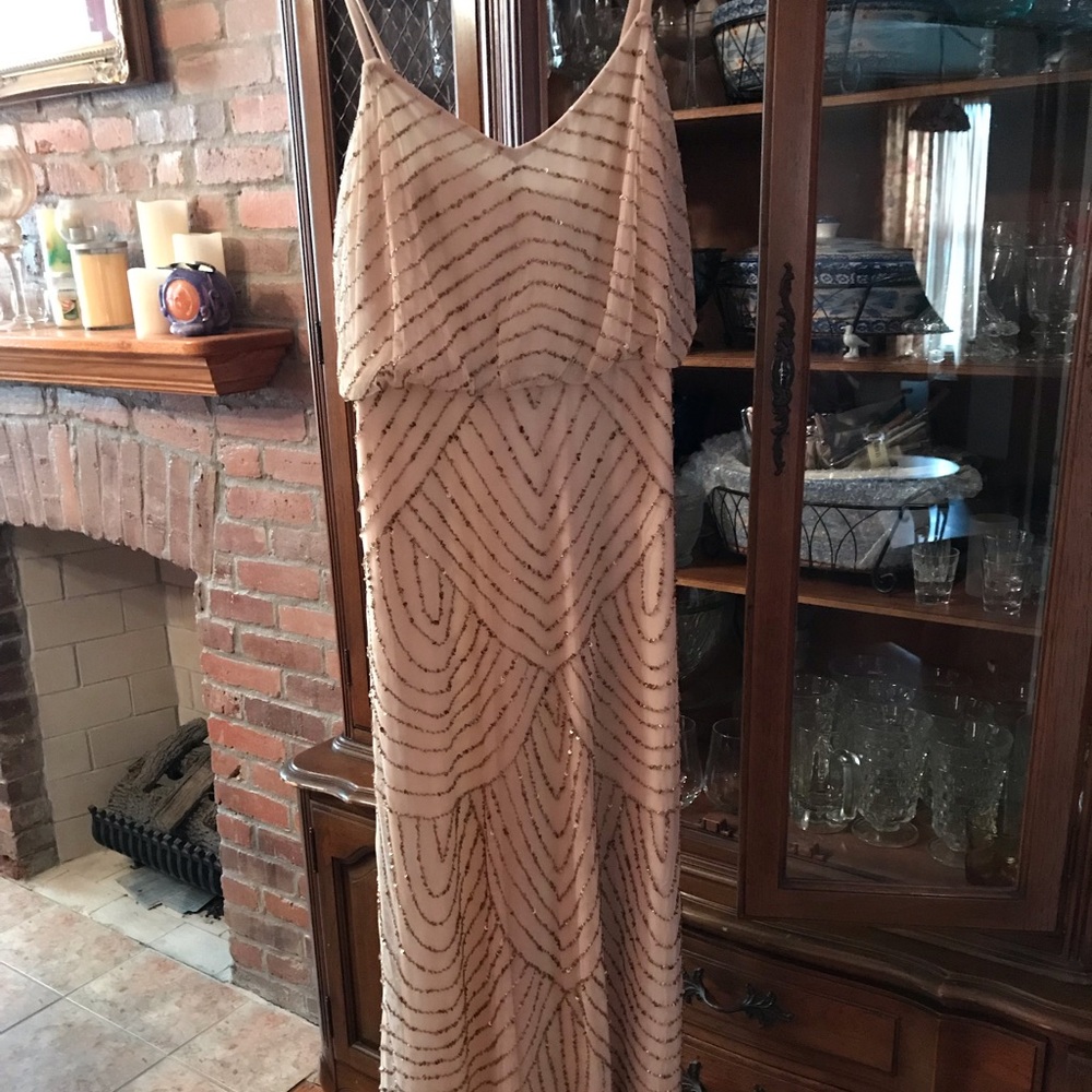 Adrianna Papell long sequin dress